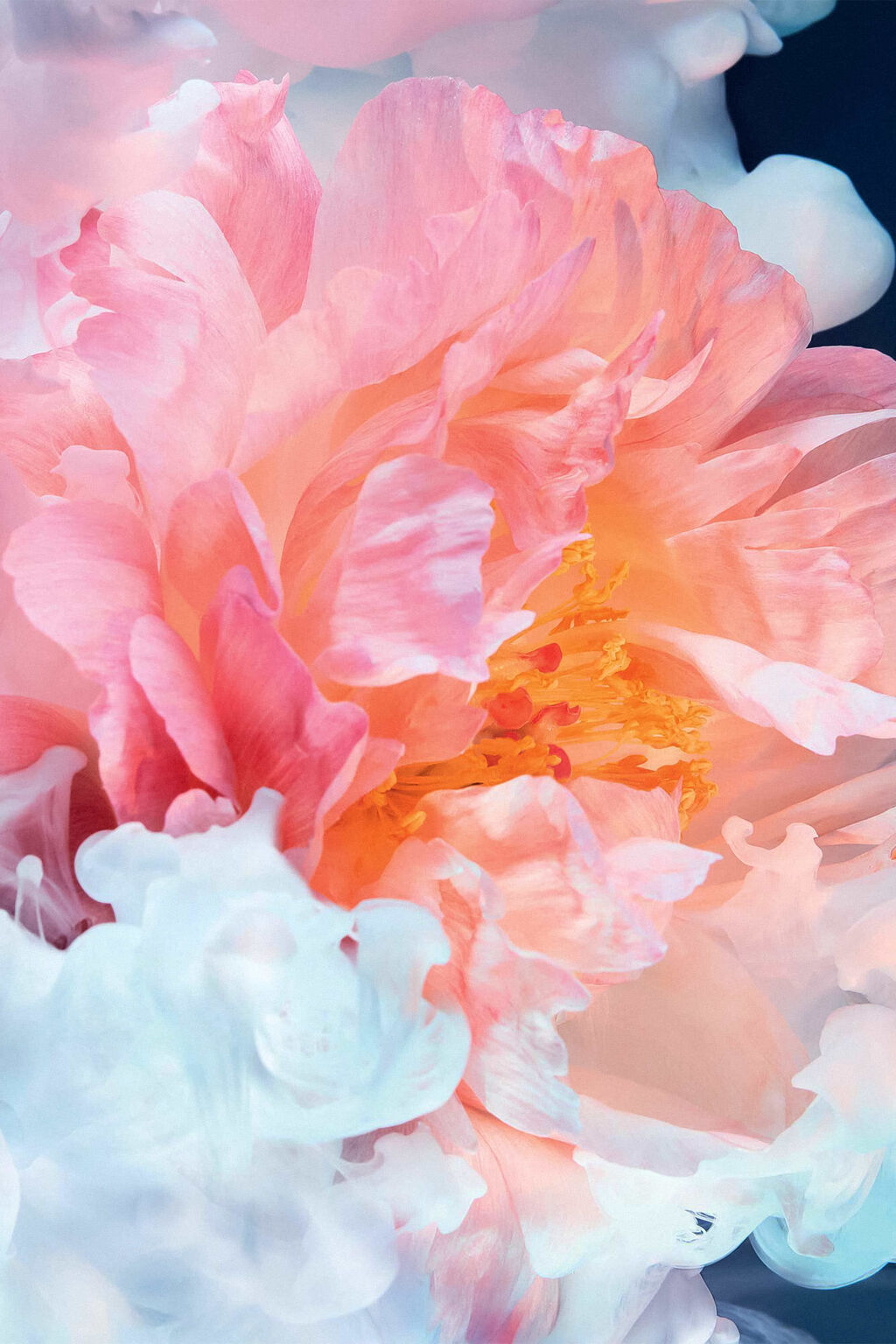 Eclat de Joie Eau de Parfum